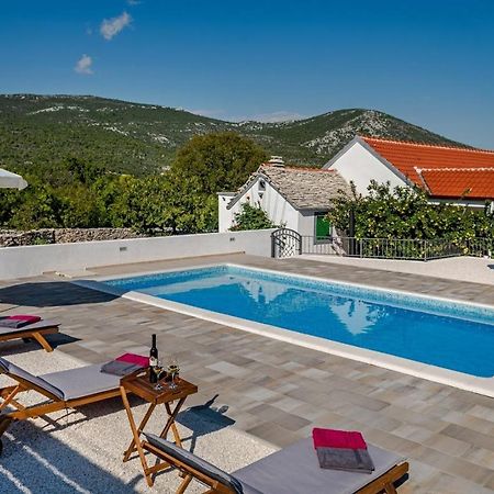 Vila House Camellia With Fenced Pool And Playground Blizna Donja Exteriér fotografie