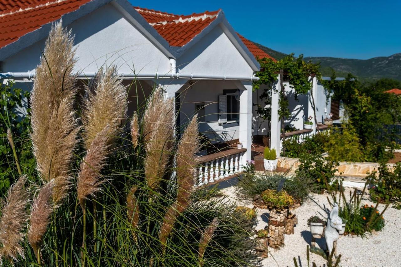 Vila House Camellia With Fenced Pool And Playground Blizna Donja Exteriér fotografie