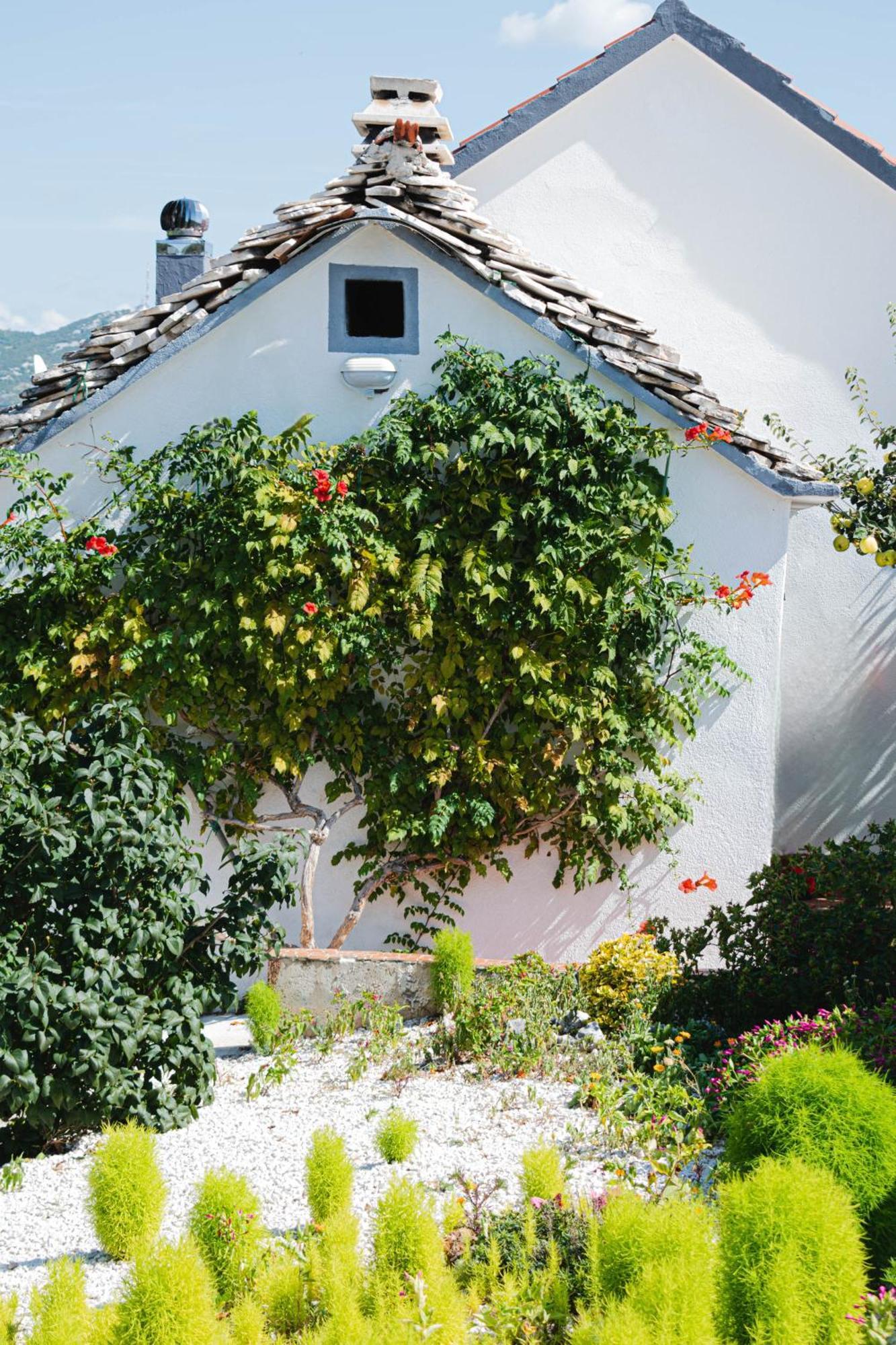 Vila House Camellia With Fenced Pool And Playground Blizna Donja Exteriér fotografie